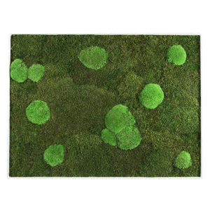 GreenHorizon: Flach- & Kugelmoos 60x80 mit Alurahmen weiß