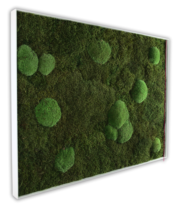 GreenHorizon: Flach- & Kugelmoos 60x80 mit Alurahmen weiß – Bild 4