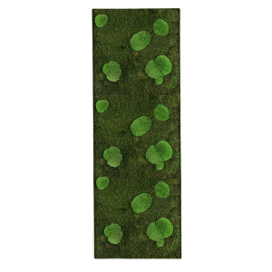 GreenHorizon: Flach- & Kugelmoos 100×35 mit Alurahmen weiß
