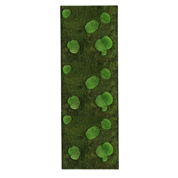 GreenHorizon: Flach- & Kugelmoos 100×35 mit Alurahmen weiß