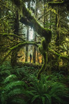 joshua-earle-unsplash
